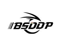 BSDDP