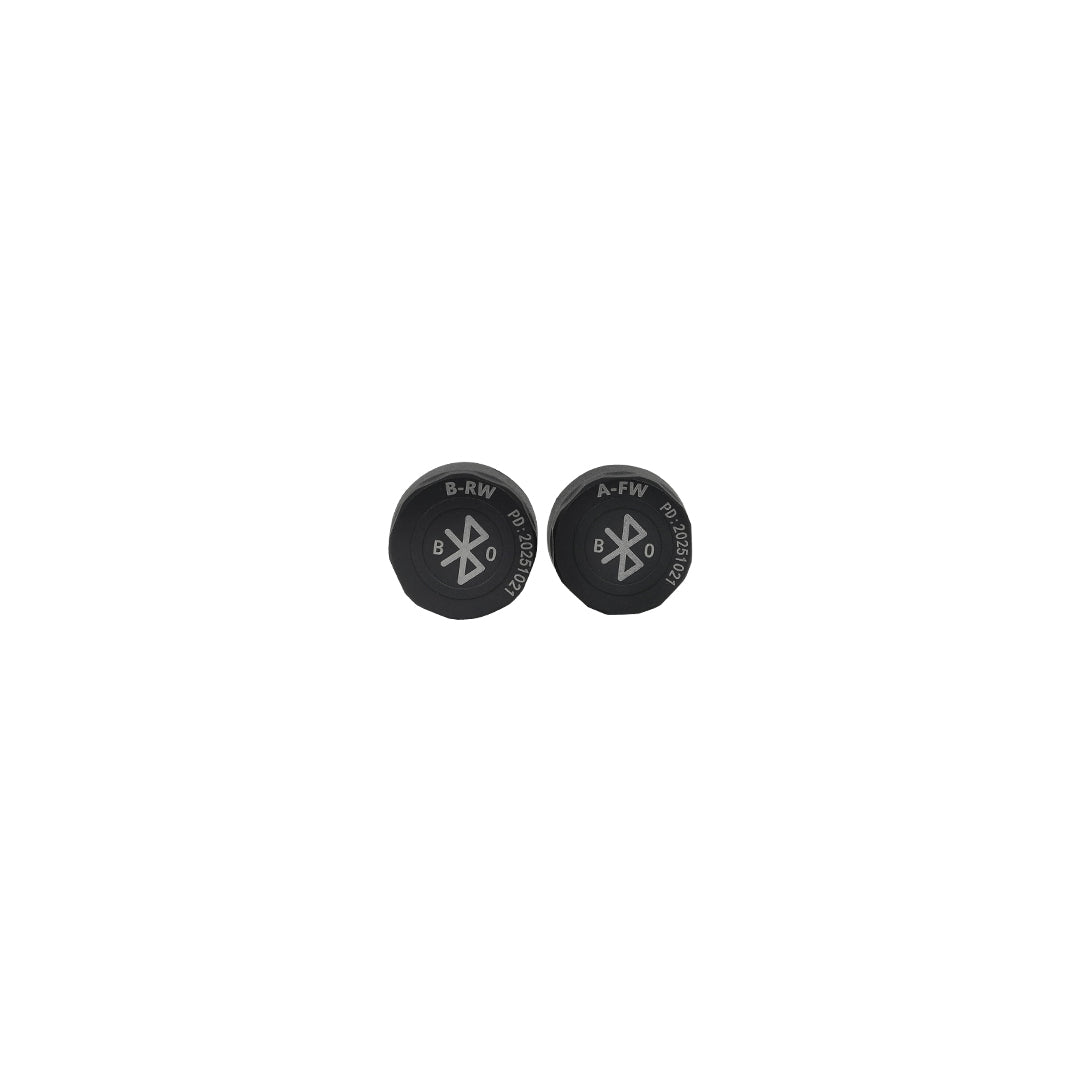 AlienRider Quick Release Riding System M2-QR-200/M2-QR-201