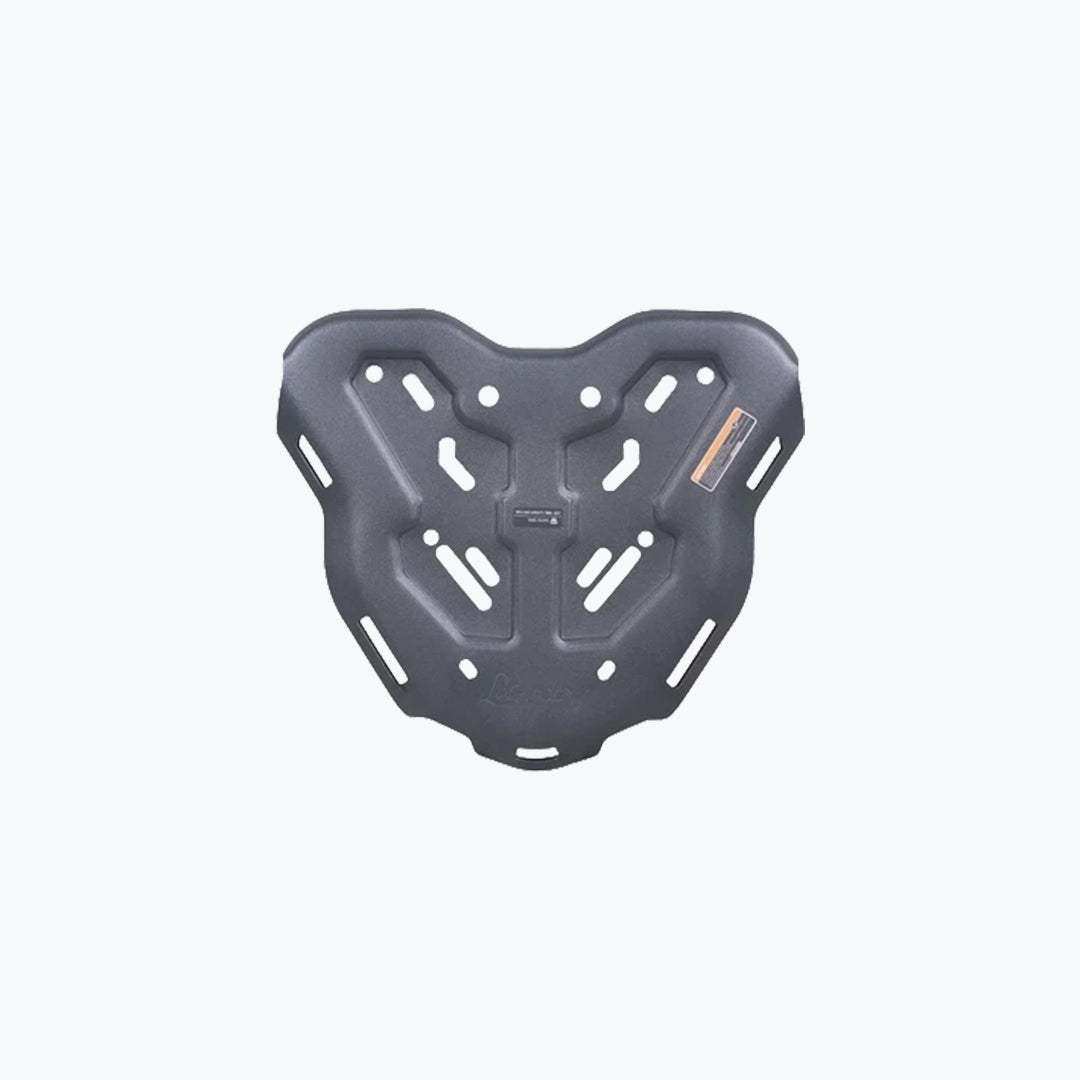 LEGUNDARY TVS Apache RTX 300 Genesis Carrier – Clamp Mount for Grab Rail Variants