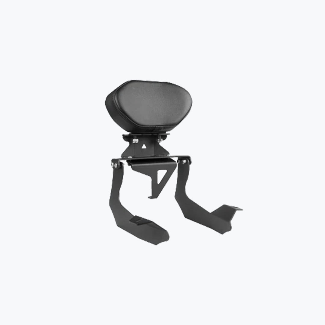 Legundary Hness Backrest