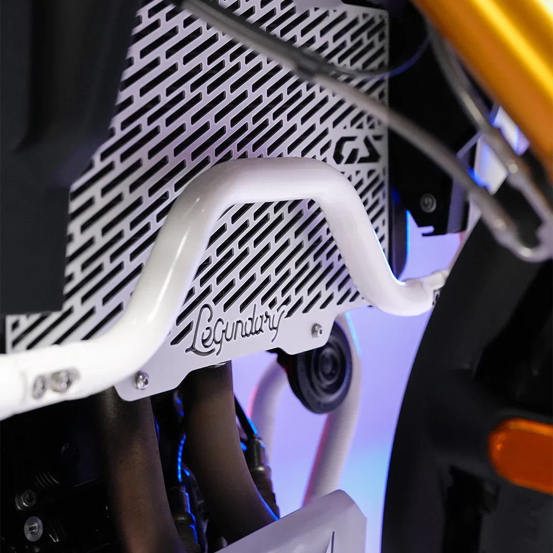 LEGUNDARY BMW F450 GS VECTOR RADIATOR GRILL SILVER