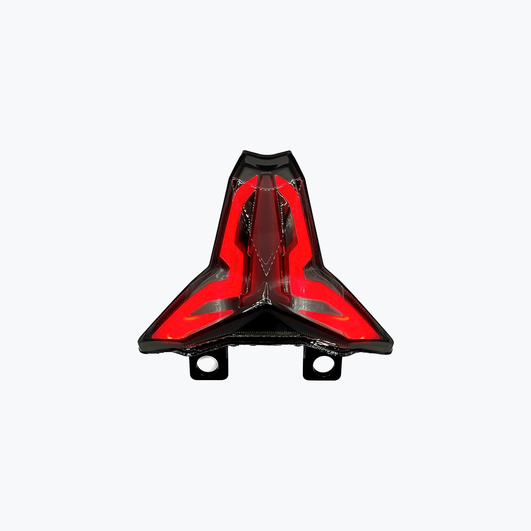 JPA Ninta Kawasaki Integrated LED Tail Light