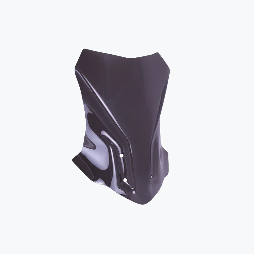 BMW G 310 GS Touring Windshield