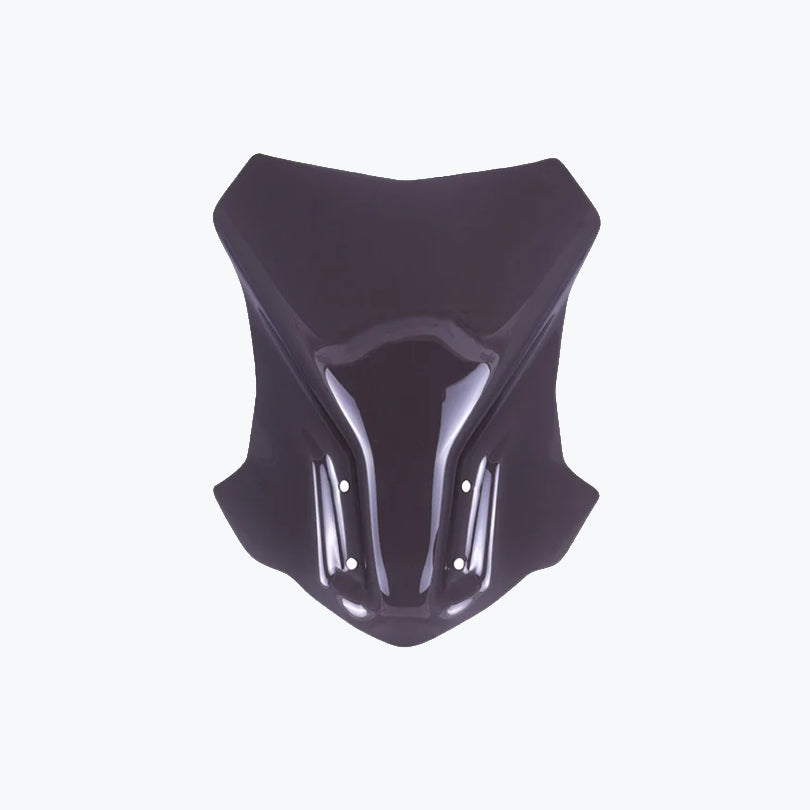 BMW G 310 GS Touring Windshield